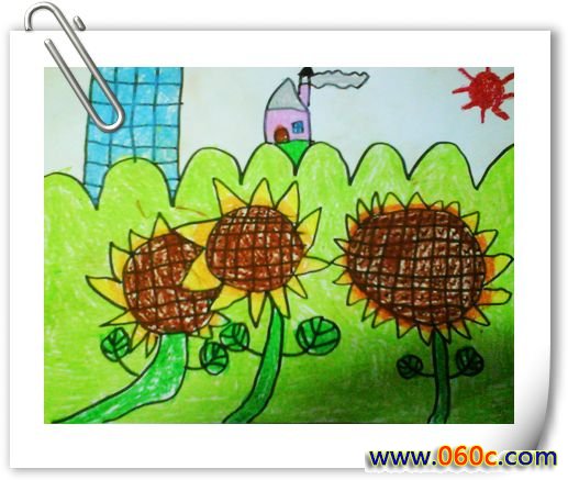 中班幼儿绘画图片:美丽的向日葵